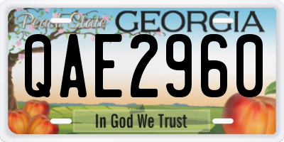 GA license plate QAE2960