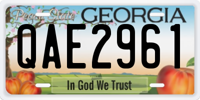GA license plate QAE2961