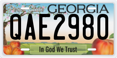 GA license plate QAE2980