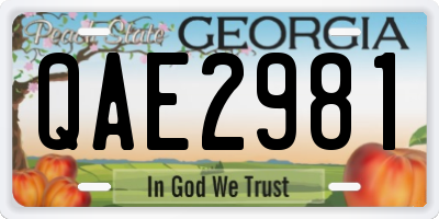 GA license plate QAE2981