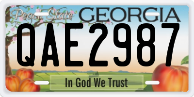 GA license plate QAE2987