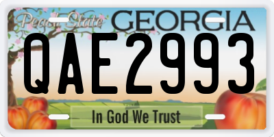 GA license plate QAE2993