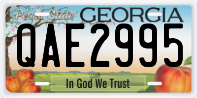 GA license plate QAE2995