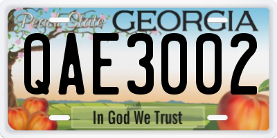 GA license plate QAE3002