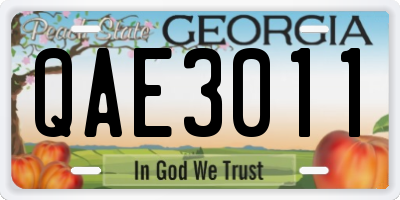 GA license plate QAE3011