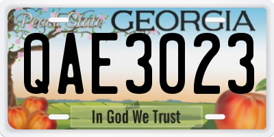 GA license plate QAE3023