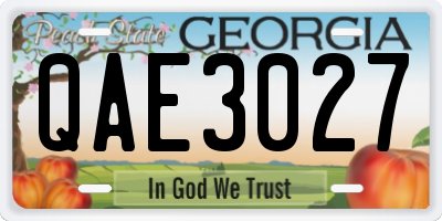GA license plate QAE3027