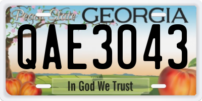GA license plate QAE3043
