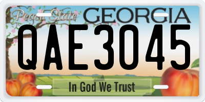 GA license plate QAE3045