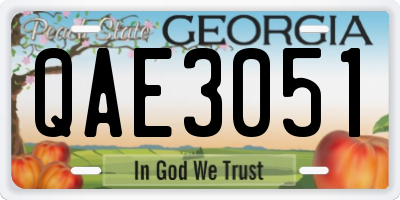 GA license plate QAE3051