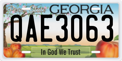 GA license plate QAE3063