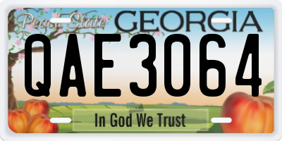 GA license plate QAE3064