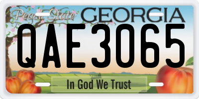 GA license plate QAE3065