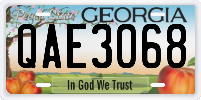 GA license plate QAE3068