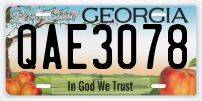 GA license plate QAE3078