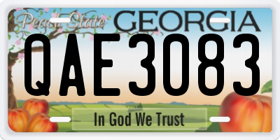 GA license plate QAE3083