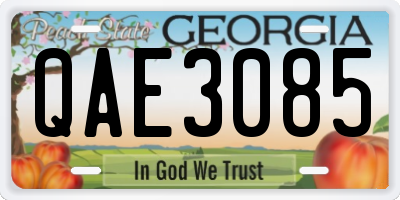 GA license plate QAE3085