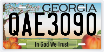 GA license plate QAE3090