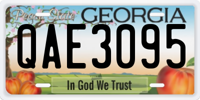 GA license plate QAE3095