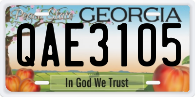 GA license plate QAE3105