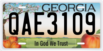 GA license plate QAE3109