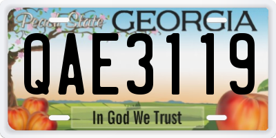 GA license plate QAE3119