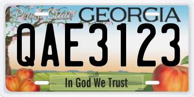GA license plate QAE3123