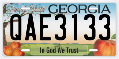 GA license plate QAE3133