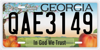 GA license plate QAE3149