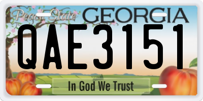 GA license plate QAE3151