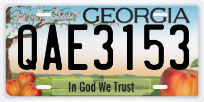 GA license plate QAE3153