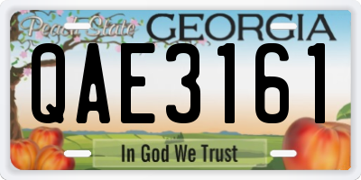 GA license plate QAE3161