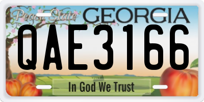 GA license plate QAE3166