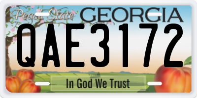 GA license plate QAE3172