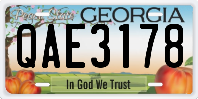 GA license plate QAE3178