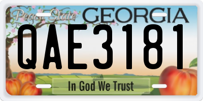 GA license plate QAE3181