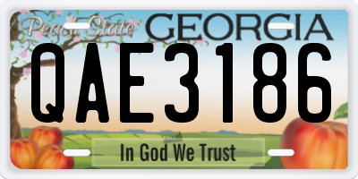 GA license plate QAE3186