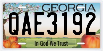 GA license plate QAE3192