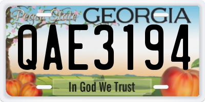 GA license plate QAE3194