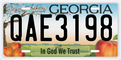 GA license plate QAE3198