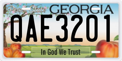 GA license plate QAE3201