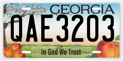 GA license plate QAE3203