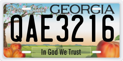 GA license plate QAE3216