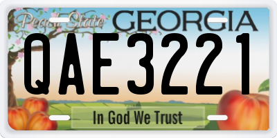 GA license plate QAE3221