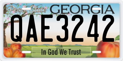 GA license plate QAE3242