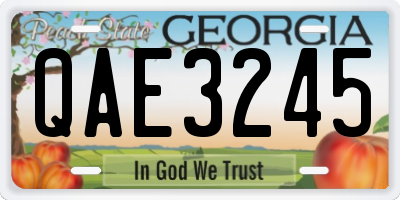 GA license plate QAE3245