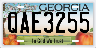 GA license plate QAE3255
