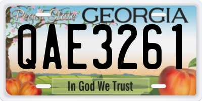 GA license plate QAE3261