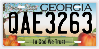 GA license plate QAE3263