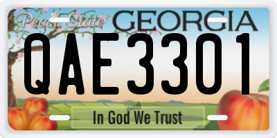 GA license plate QAE3301